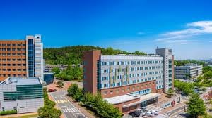 Bachelor of Big Data Science at Korea University - image 1